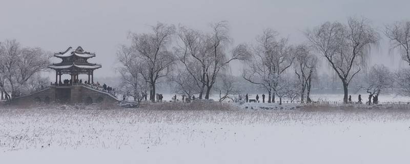 阵雪会有积雪吗（阵雪能下吗）