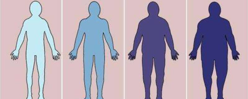 什么是大基数体重(基数大的体重)