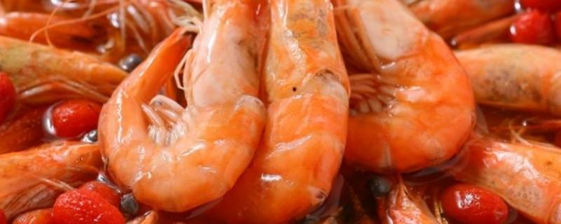 活虾怎么保存一天（活虾怎么保存一天为最新鲜）