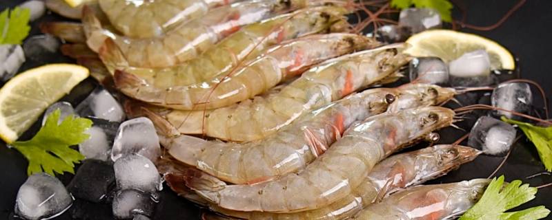 死虾可以放冰箱冷藏多久（死虾可以冷藏几天）