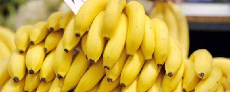 香蕉闻起来是什么味道 香蕉闻起来是什么味道作文