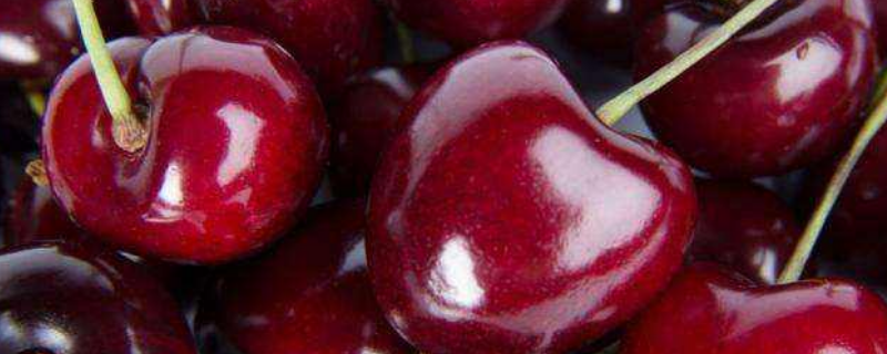 xl和j哪个大 xl和j的区别