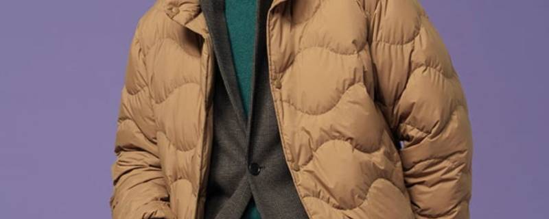 羽绒服沾上墨水用什么可以清除（羽绒服沾到墨水怎么办）