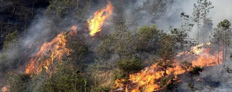 引起自然火灾的原因是(引起自然界火灾的原因是)