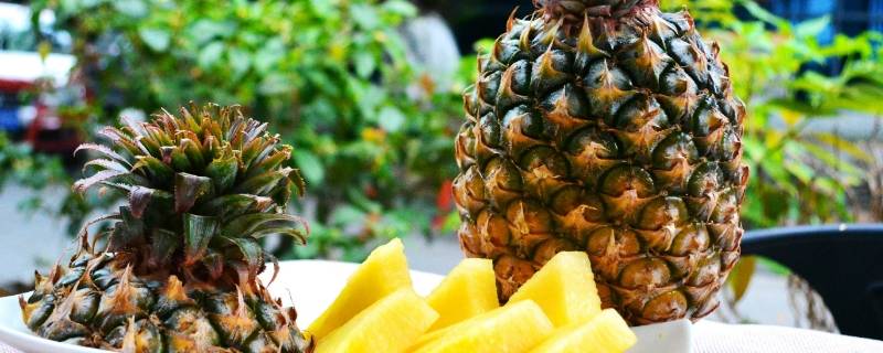 凤梨含糖量高不高 凤梨含糖量高不高,孕妇能吃么