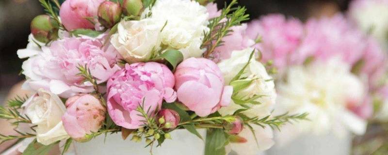 瓶插鲜花怎么能保鲜时间久一点 插瓶的鲜花怎么才能时间久一些