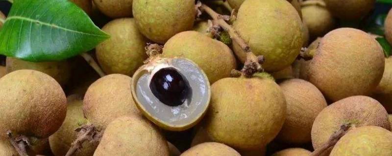 桂圆跟龙眼有什么区别（桂圆与龙眼有啥区别?）