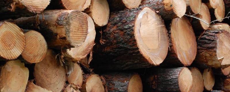 老挝出口产品有哪些（老挝主要进口产品）