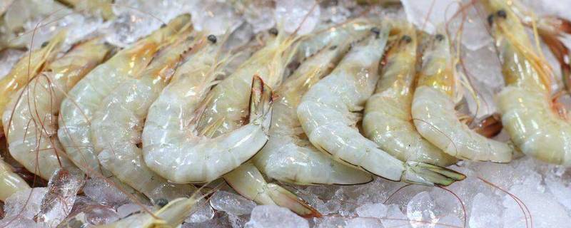 冻虾怎么挑（冻虾怎么挑出虾线）