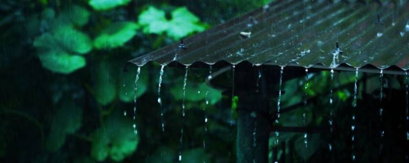 梅雨的梅是哪个梅 梅雨季的梅是什么梅