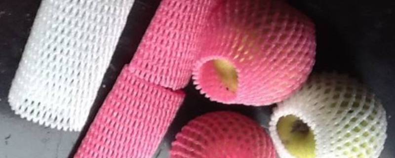 水果外面的海绵网有什么用 水果外面的海绵网保鲜吗