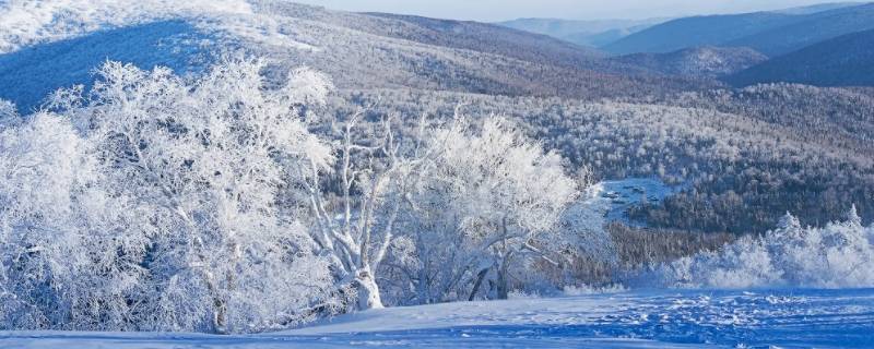 雪形成的原因是什么（雪是咋形成的）