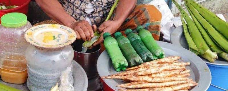 印度芦荟汁什么味道 印度芦荟饮料什么味道