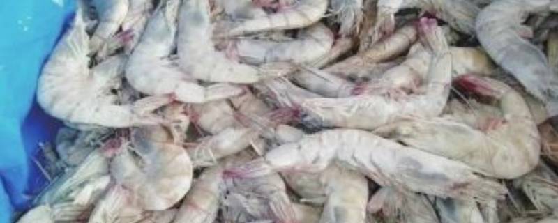 盐冻和水冻有什么区别 盐冻和水冻的区别