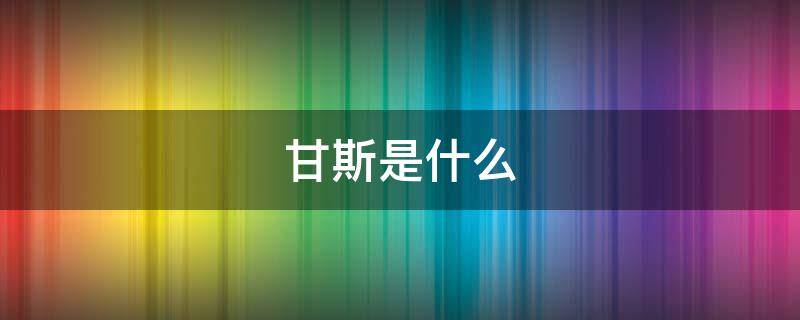 甘斯是什么 甘斯特是什么意思