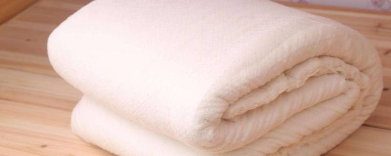 200×230被子需要几斤棉花 120×150的被子冬天用几斤棉花