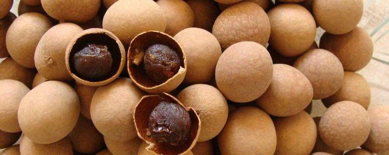 桂圆干保质期一般是多久 桂圆干保存期多久