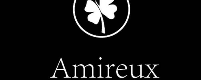 Amireux寓意 Amireux寓意是什么