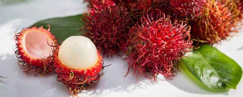 毛荔枝什么味道(毛荔枝是不是酸的)