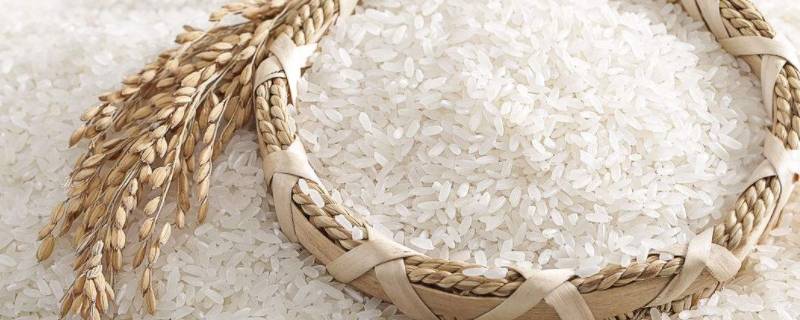 一级米和二级米区别（一级米和二级米的区别）