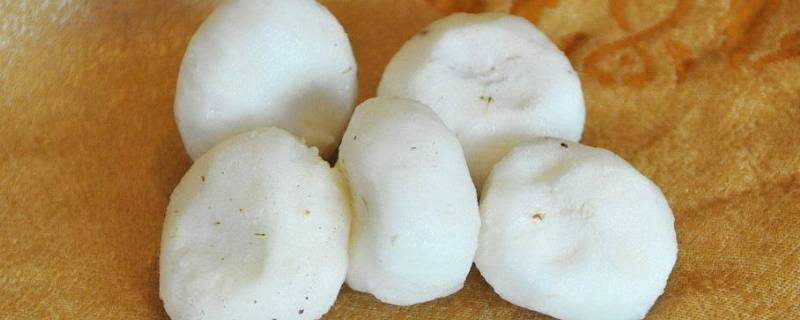 马蹄肉是啥（马蹄猪肉是什么）