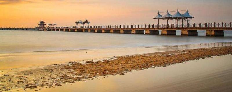 旅游交通由什么构成（旅游交通的定义是什么）