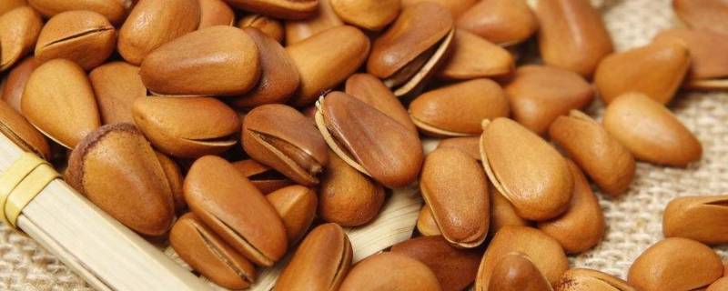 松子是怎么开口的（松子是怎么开口的视频）