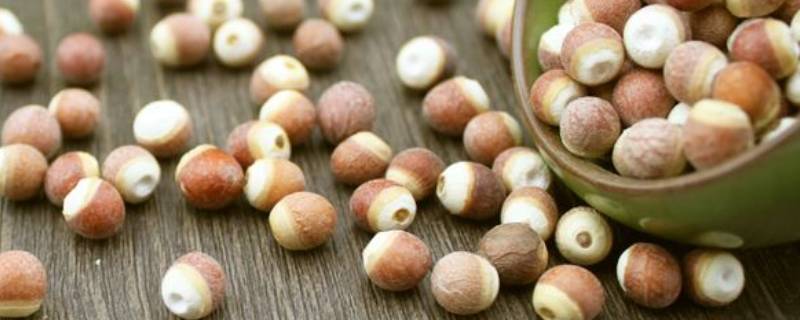 干鸡头米怎么泡发（鸡头米需要泡多久）