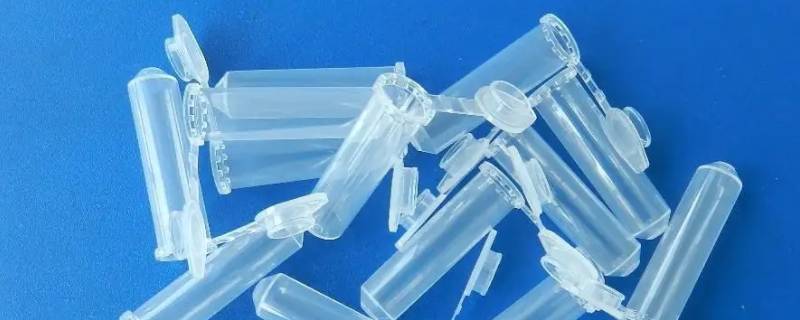 pp1是什么意思哦 pp01是什么意思