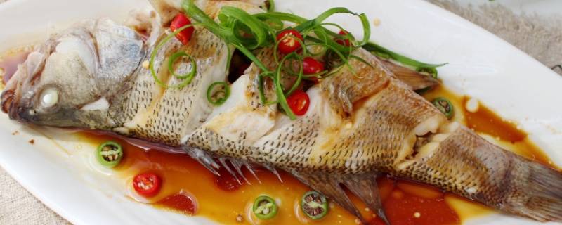 蒸的鱼有哪几种(可以蒸的鱼有几种)