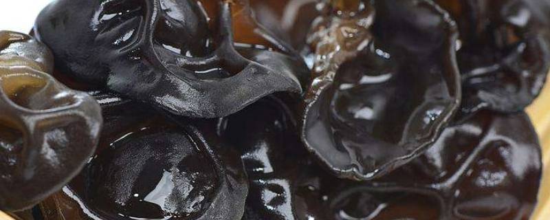 黑木耳用冷水泡还是热水泡（黑木耳是冷水泡还是热水泡）