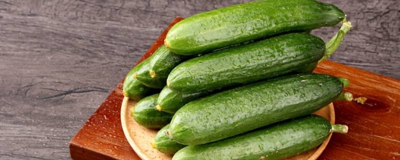 又粗又短的黄瓜是什么品种（细长的黄瓜是什么品种）