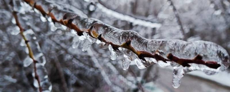 冻雨和雪有什么区别（冻雨和雨夹雪的区别）