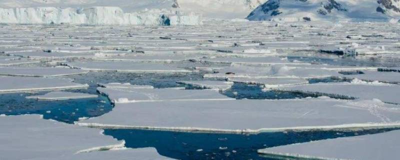 南极半岛可以住人吗 南极洲为什么不能住人