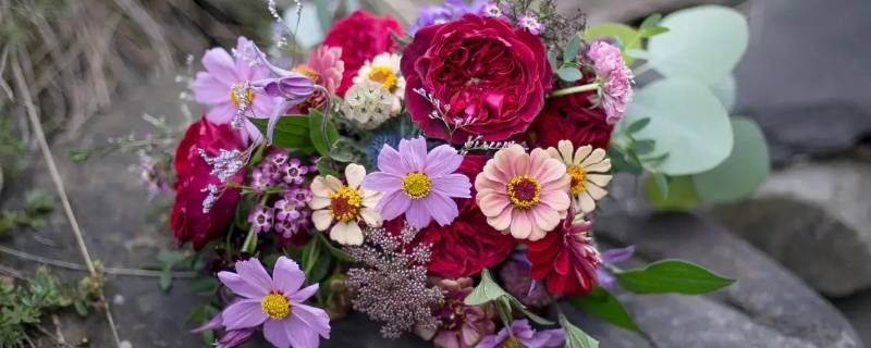 鲜花能保存多久（鲜花能保存多久时间）