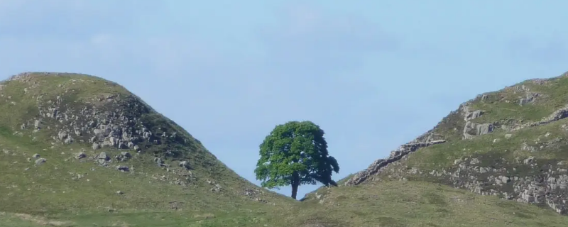 土堆成的山叫什么（土堆似的小山是什么山?）