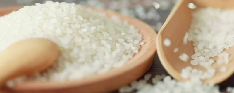 如何选购大米及大米标准 怎么挑选大米,执行标准