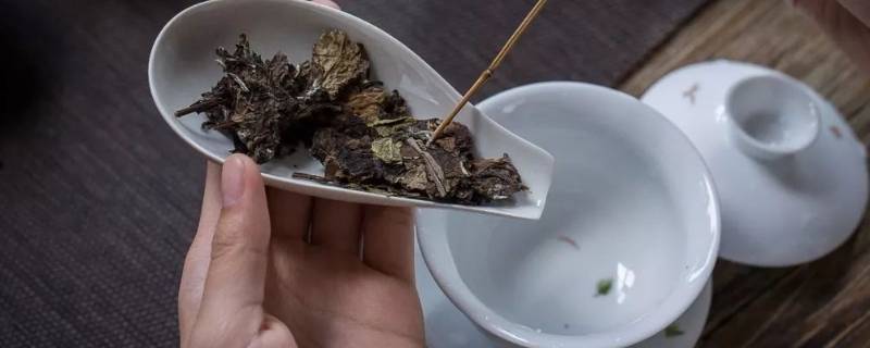 茶饼怎么泡茶（茶饼怎么泡茶喝）