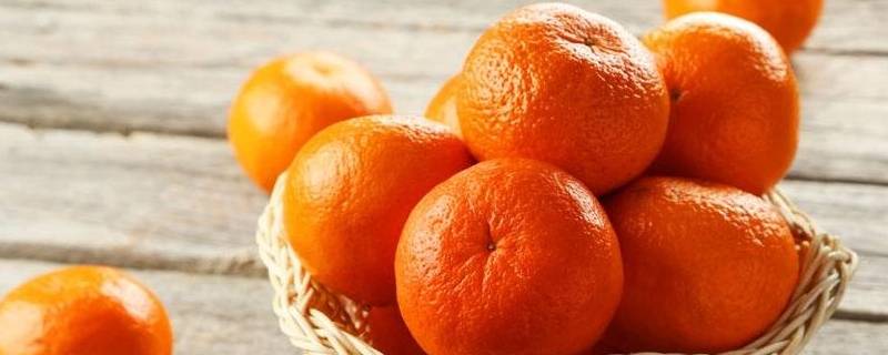 桔子是什么(桔子是什么形状和颜色)