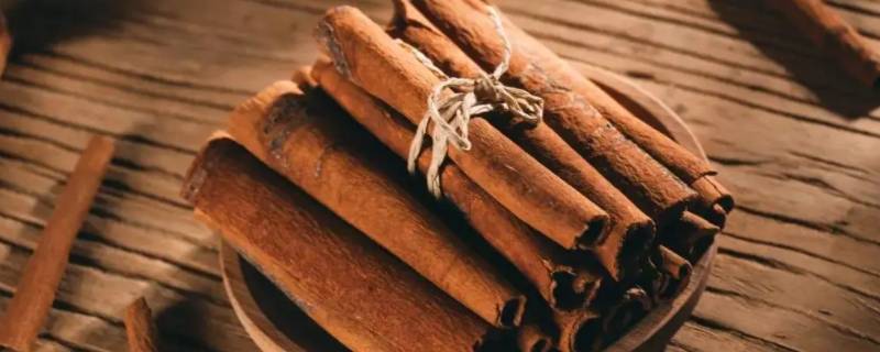 肉桂是什么东西（肉桂是什么东西做的）