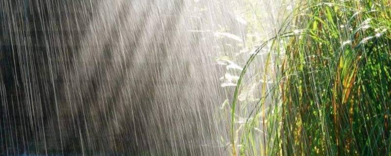 梅雨是对流雨还是锋面雨（梅雨是对流雨吗）