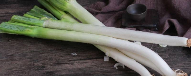 家庭大葱的保存方法 家庭大葱如何保存