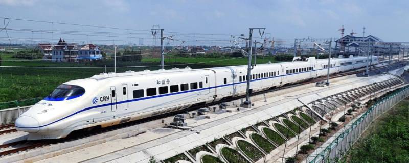 坐高铁宠物怎么带回家（坐高铁怎样托运宠物）