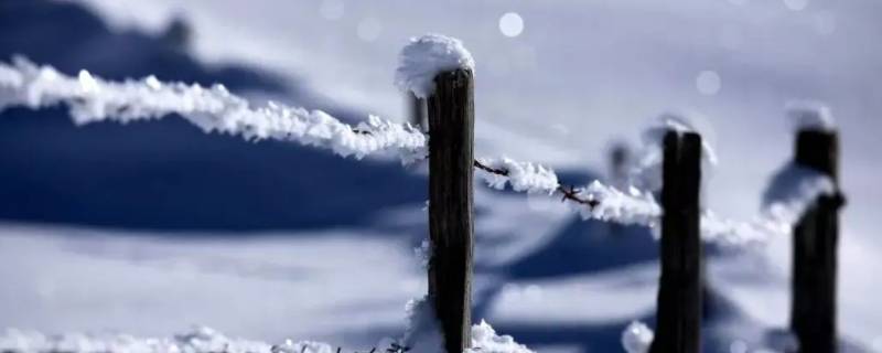 冬天室外的铁和木头温度一样吗（冬天室外铁和木头的温度一样高吗）