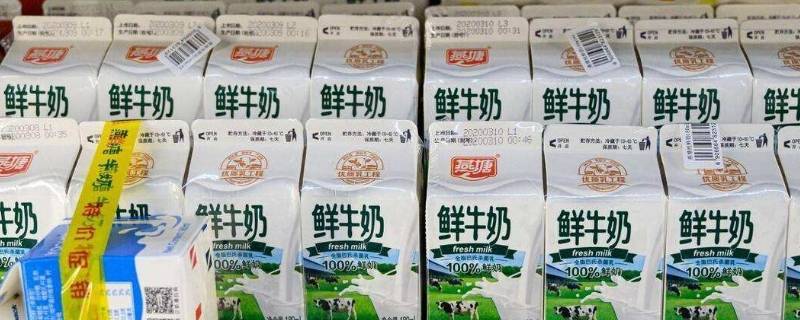 鲜牛奶打开后放冰箱能放几天 鲜牛奶打开之后放冰箱能放几天