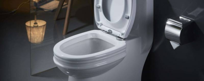 马桶垢怎么除掉 马桶垢怎么除掉 不影响釉面