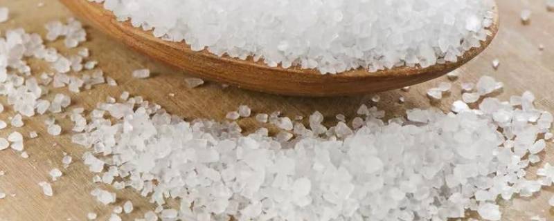 盐有哪几种(市面上的盐有哪几种)