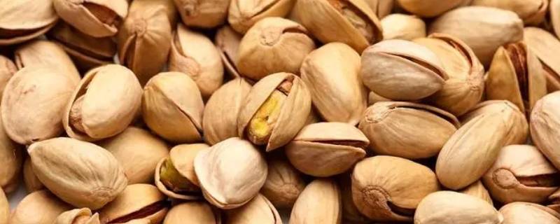 开心果潮了怎么让它变脆（开心果受潮了怎么变脆）
