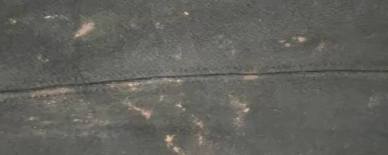 黑裤子被84液烧红点怎样去掉 黑裤子不小心弄上84液了怎么处理