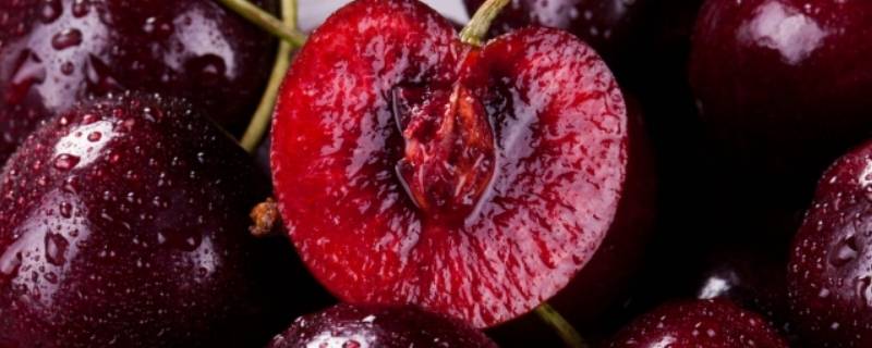 3j和4j车厘子区别 车厘子2j和4j有什么区别